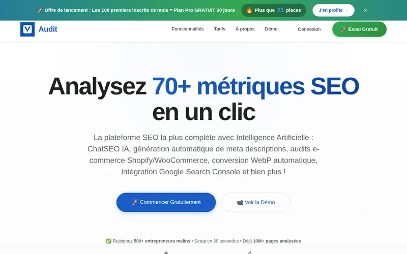 Vraivex Audit - SaaS SEO
